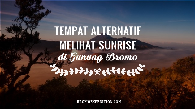Tempat Alternatif Melihat Sunrise di Bromo