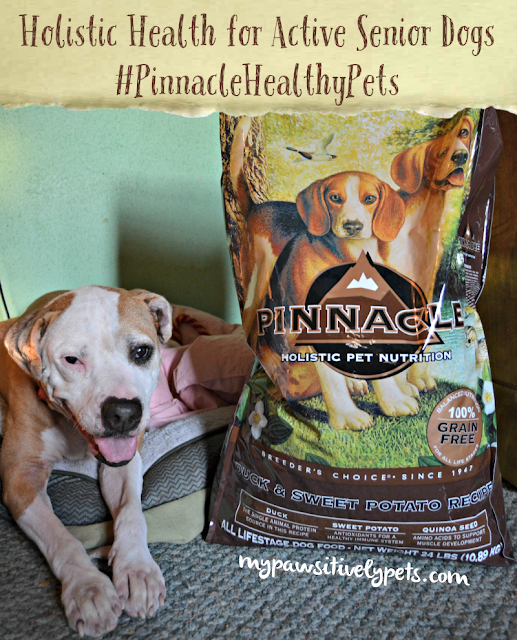 Holistic Health for Active Senior Dogs #PinnacleHealthyPets
