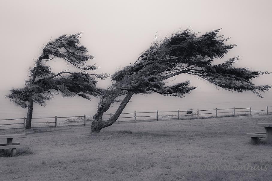 Pacific Northwest Photography Windy Season