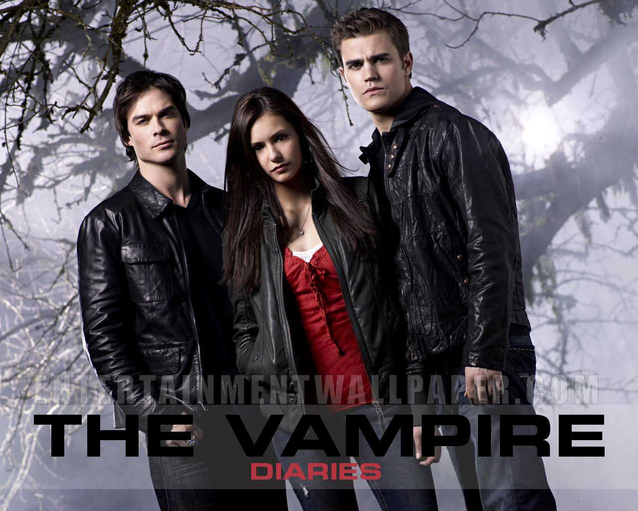 Series the vampire diaries