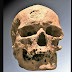 Нова лицева реконструкция на кроманьонец, живял преди 28 000 години