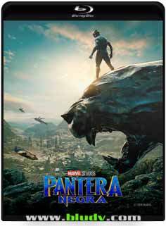 Pantera Negra 2018 – Torrent Download – BluRay 720p e 1080p e 4K Dublado / Dual Áudio