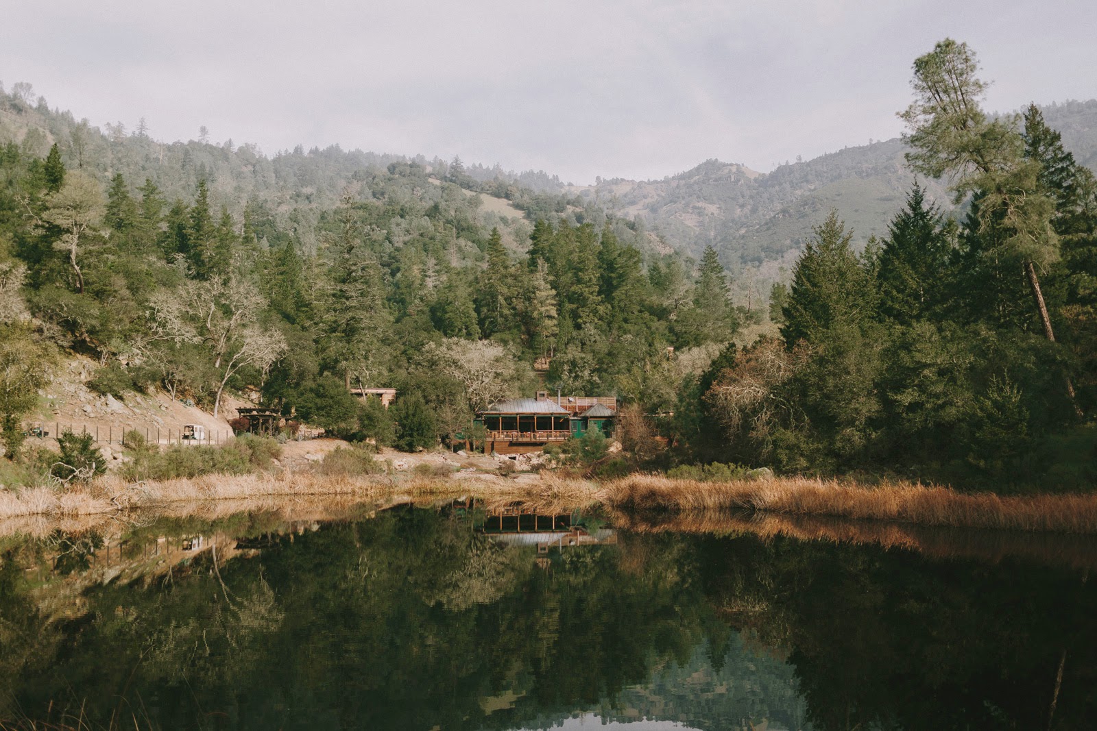 Michael e Lisa Marie - Um Verdadeiro Amor: Riley Keough e Ben Smith  Petersen se casaram em Nepa Valley, Califórnia