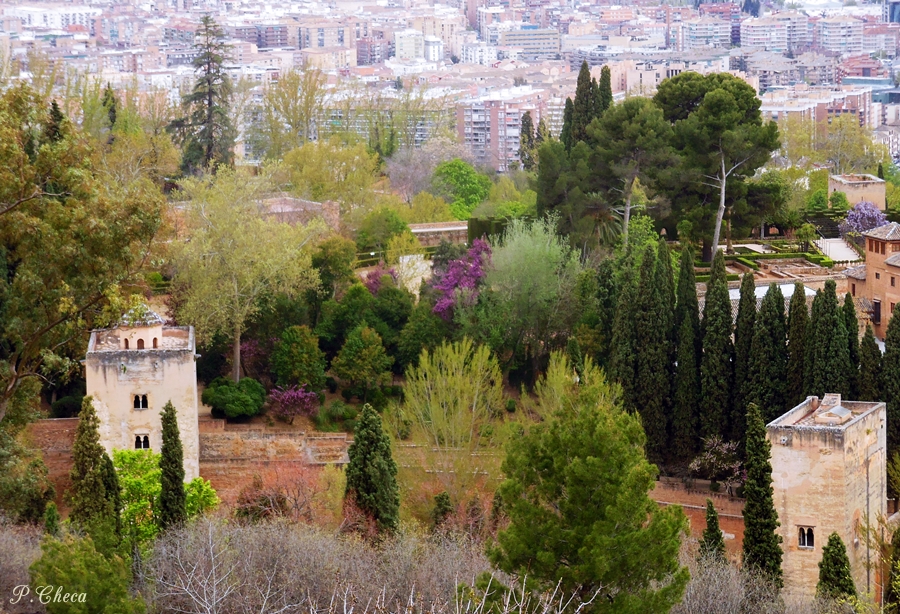 Fotos Me Gusta Granada Paseo de Las Torres