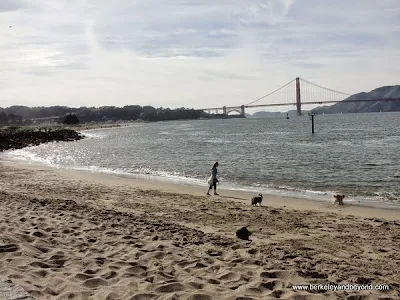 Wave Organ beach in San Francisco