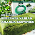 Sensasi Menyantap Berbagai Varian Brownies (Cheesecream, Green Tea, Blueberry, Brownies Bakar) dari Amanda Brownies