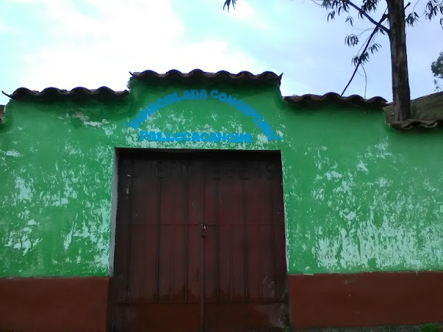 Colegio CEPED INMACULADA CONCEPCION - Pallaccancha