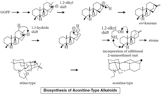 Biosynthesis of Aconitine-Type Alkaloids Aconite