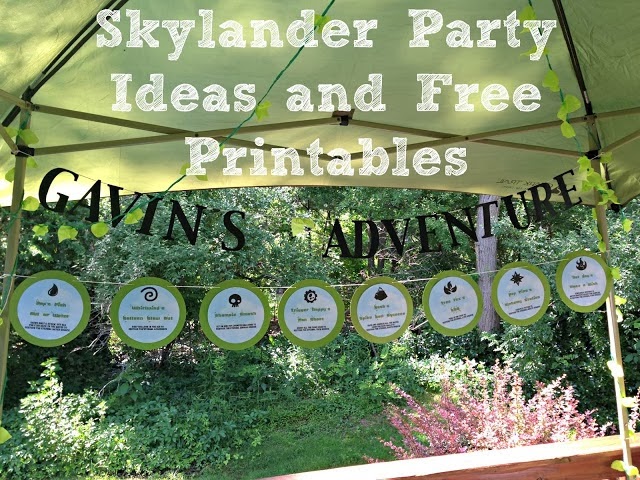 http://bestlifemistake.blogspot.com/2013/06/skylander-birthday-party-with-free.html