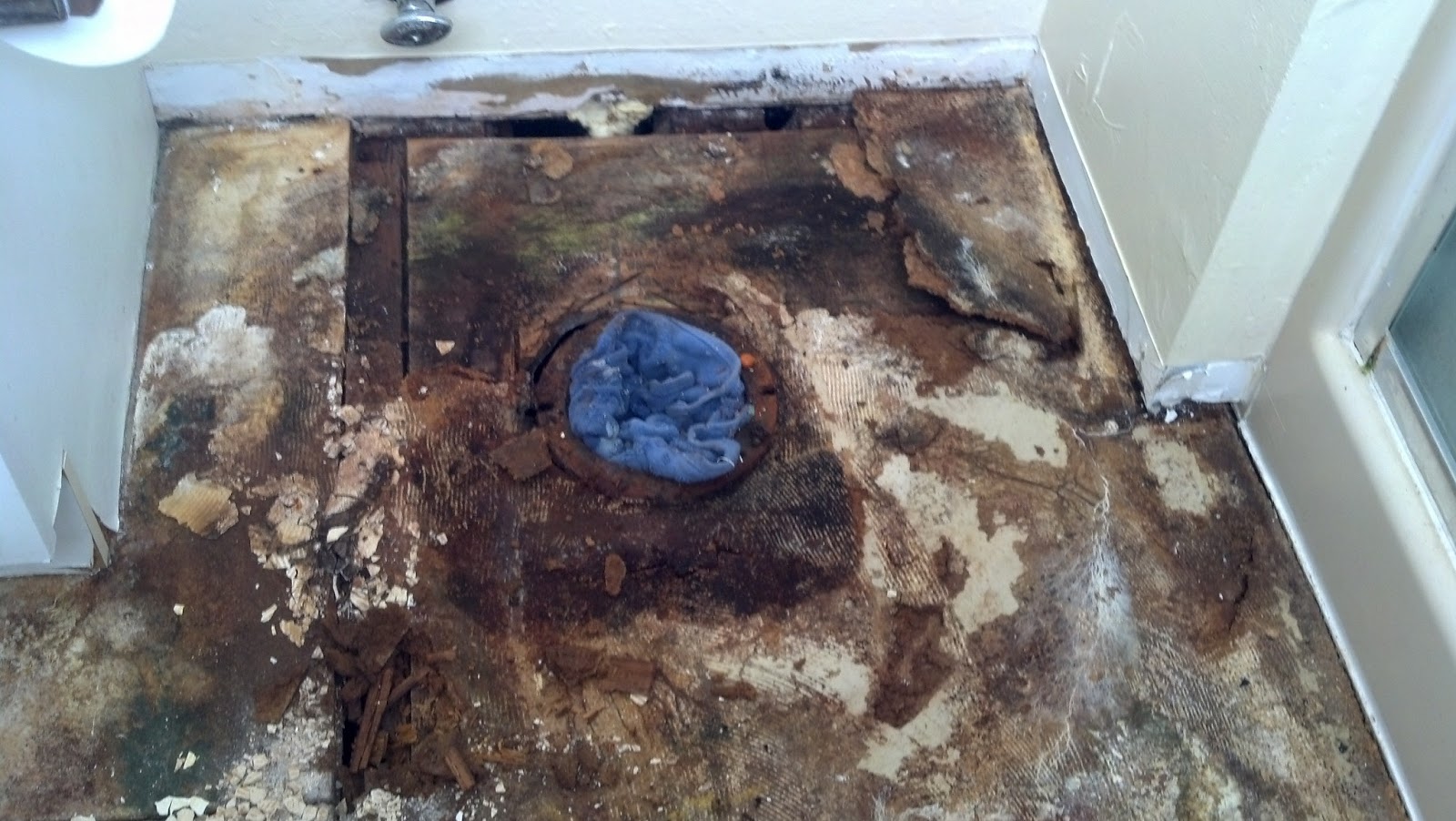 STEVE'S HELPFUL HINTS HANDYMAN BLOG Importance of replacing a rotten subfloor