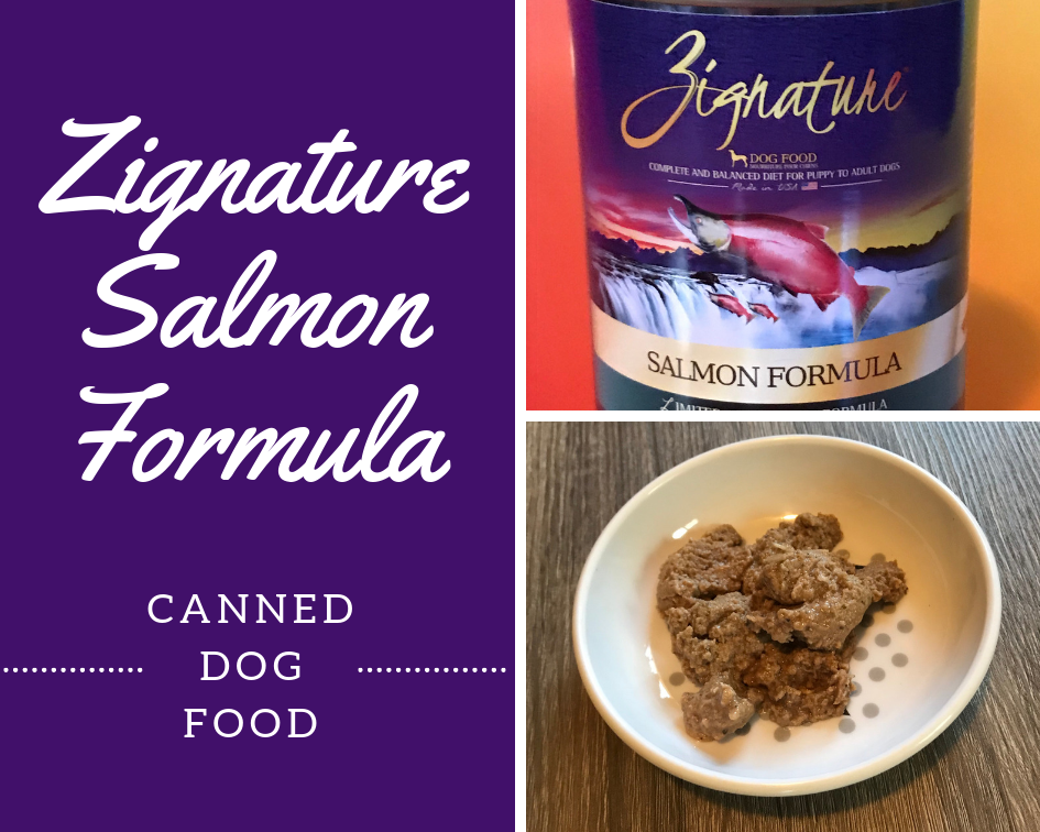 My Dog Says Woof! Product Review Zignature Salmon Recipe Limited