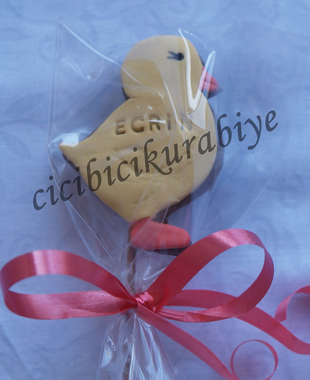 Cici Bici Kurabiye &amp; Cupcake &amp; Pasta İzmit Şubat 2012