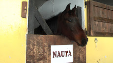 NAUTA