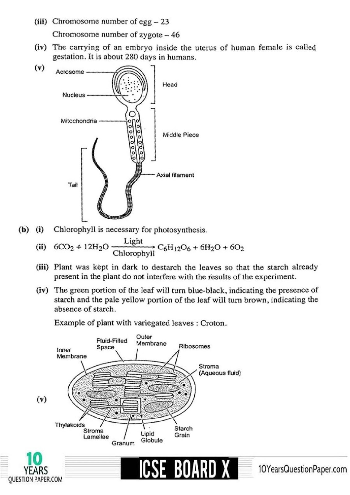 2018 Biology Class 10 ICSE Question Paper Answer ICSE Biology Solved Question Paper 2018
