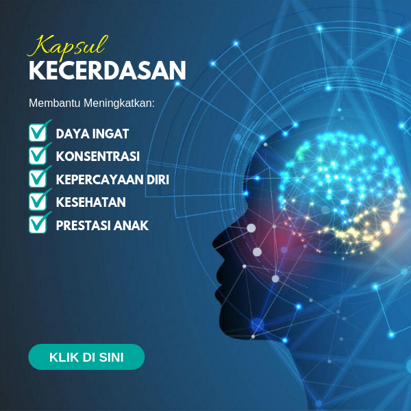 Kapsul kecerdassan