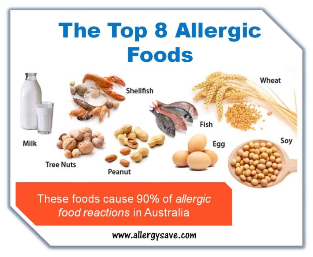 Best Food For K Food Allergies Best Food For K Food Allergies