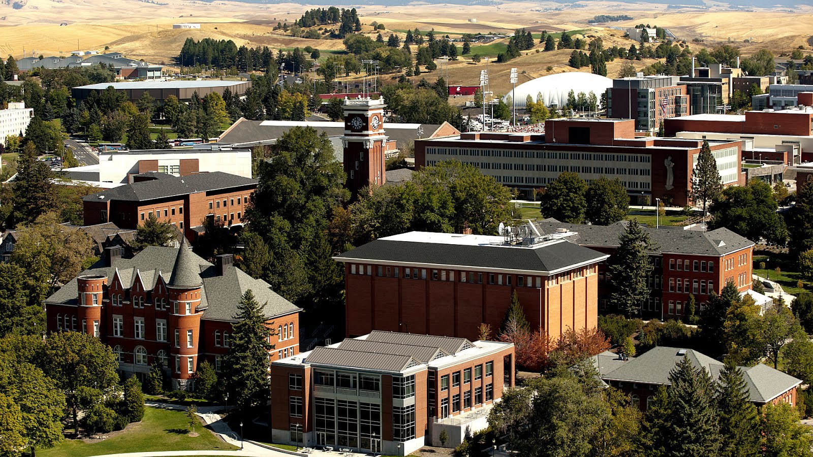Washington State University Mba Online University Choices