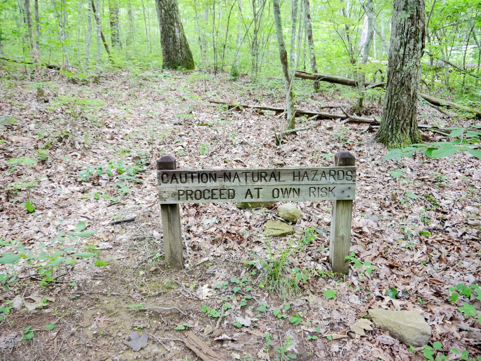 American Travel Journal Climbers Loop Trail at Foster Falls South