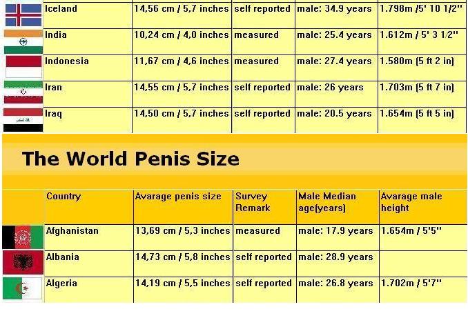 Penis Size Information 90