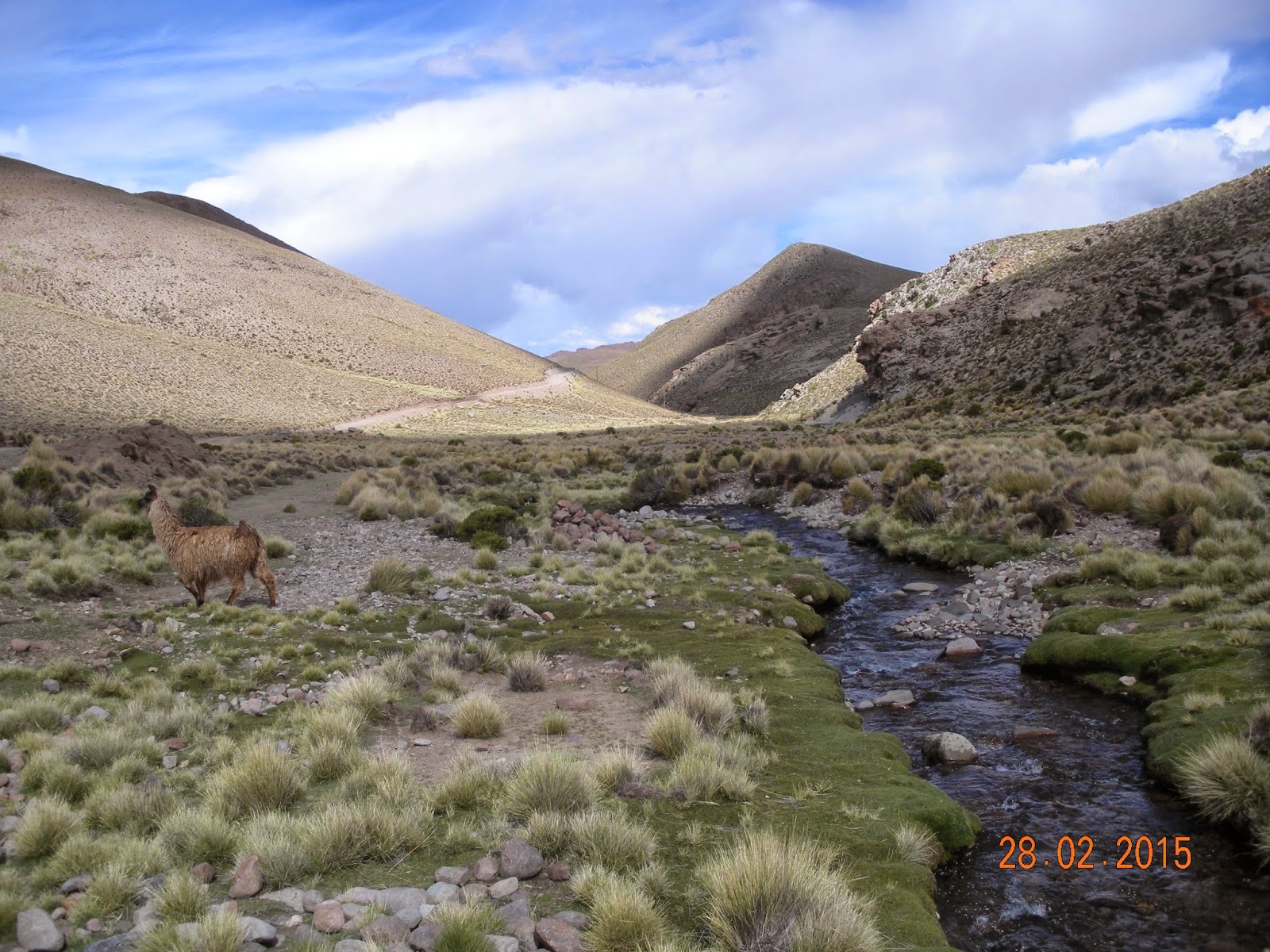 Atacama - Blogs of Bolivia - Hacia el desierto de Atacama (4)