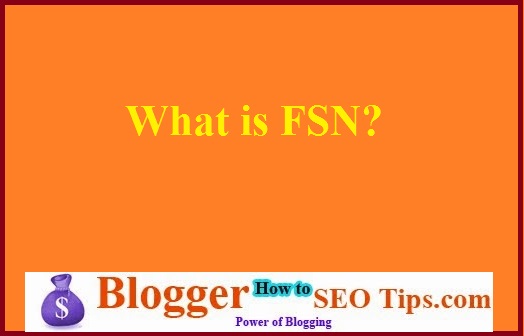 FSN in Flipkart,  FSN Full Form, What is FSN