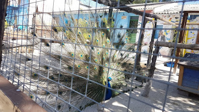 LOS PEQUES DEL PÁRROCO: SALIDA A LA GRANJA