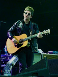 noel flying birds hurricane gallagher festival