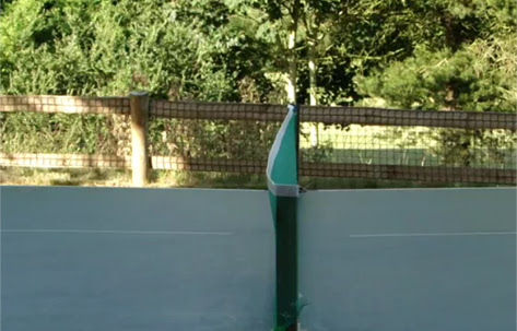 Video : 犬と卓球