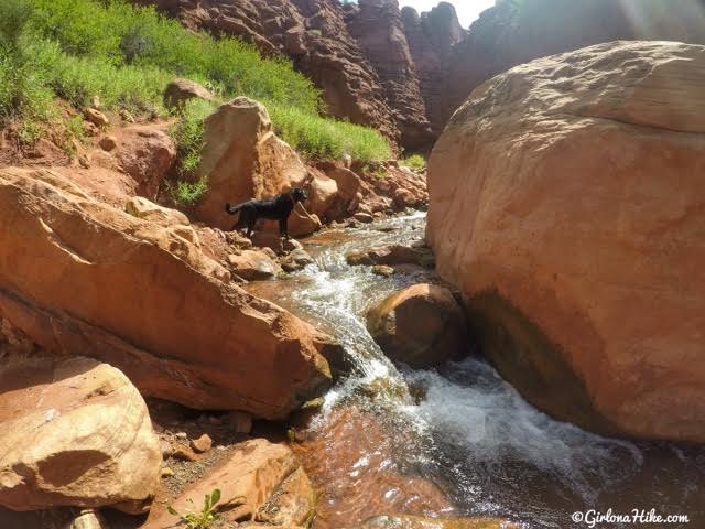 Slot canyon near moab SLOT CANYON - WHERE YOUR MOAB ADVENTURE BEGINS.Conveniently located near downtown Moab, Slot Canyon is the perfect place to rest from your adventures.The newly renovated building is full of natural light and modern decor and is the ideal basecamp for couples, families, and friends.Outdoor space - unique for each unit - is the perfect hangout for.