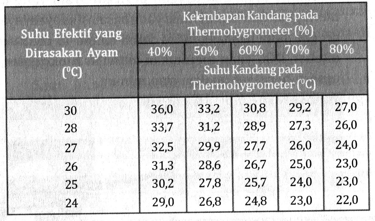 Cahaya Suhu Dan Kelembapan Kandang Ayam Petelur Poultryshop Indonesia