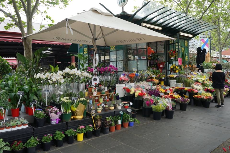 3Day Trip to Melbourne