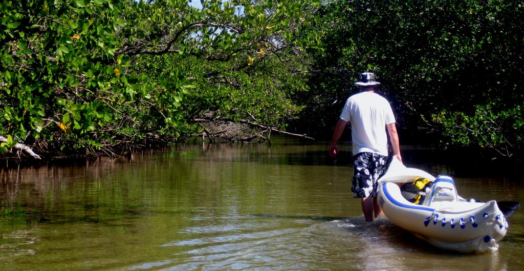 South Florida Guy Kayaking Whiskey Creek John U. Lloyd Park Dania