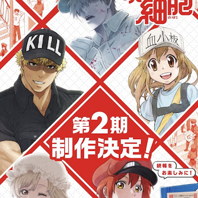 Anime Hataraku Saibou tendrá segunda temporada Anime Hataraku Saibou tendrá segunda temporada