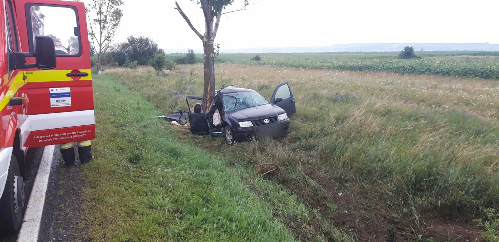 Accident mortal la Boroaia