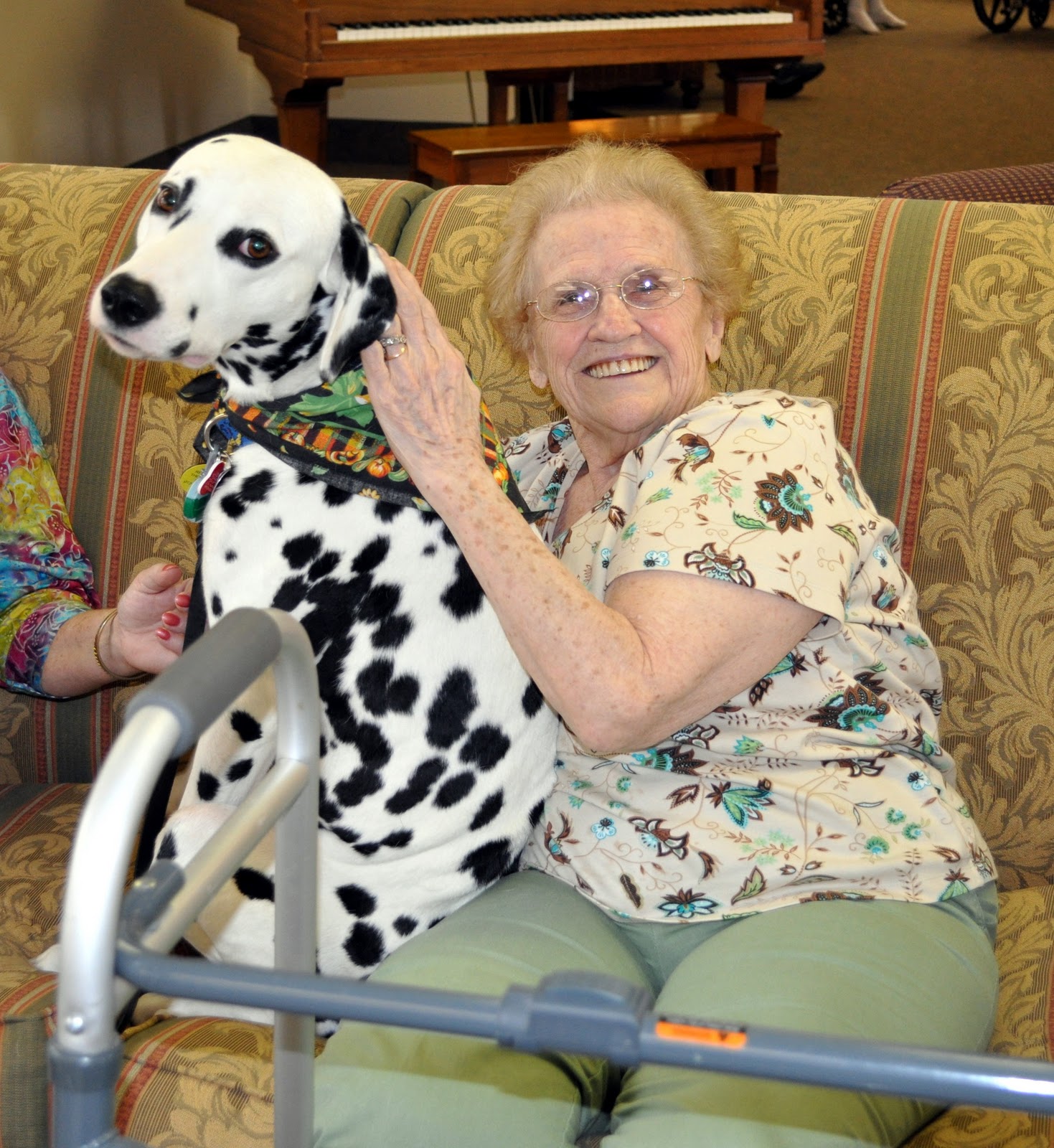 Brags AKC Therapy Dog