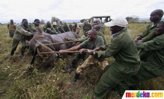 Kerusakan Lingkungan Hidup Karena Faktor Manusia Terlengkap