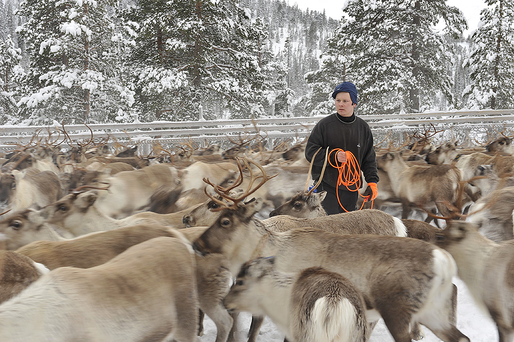 free spins no deposit pokies