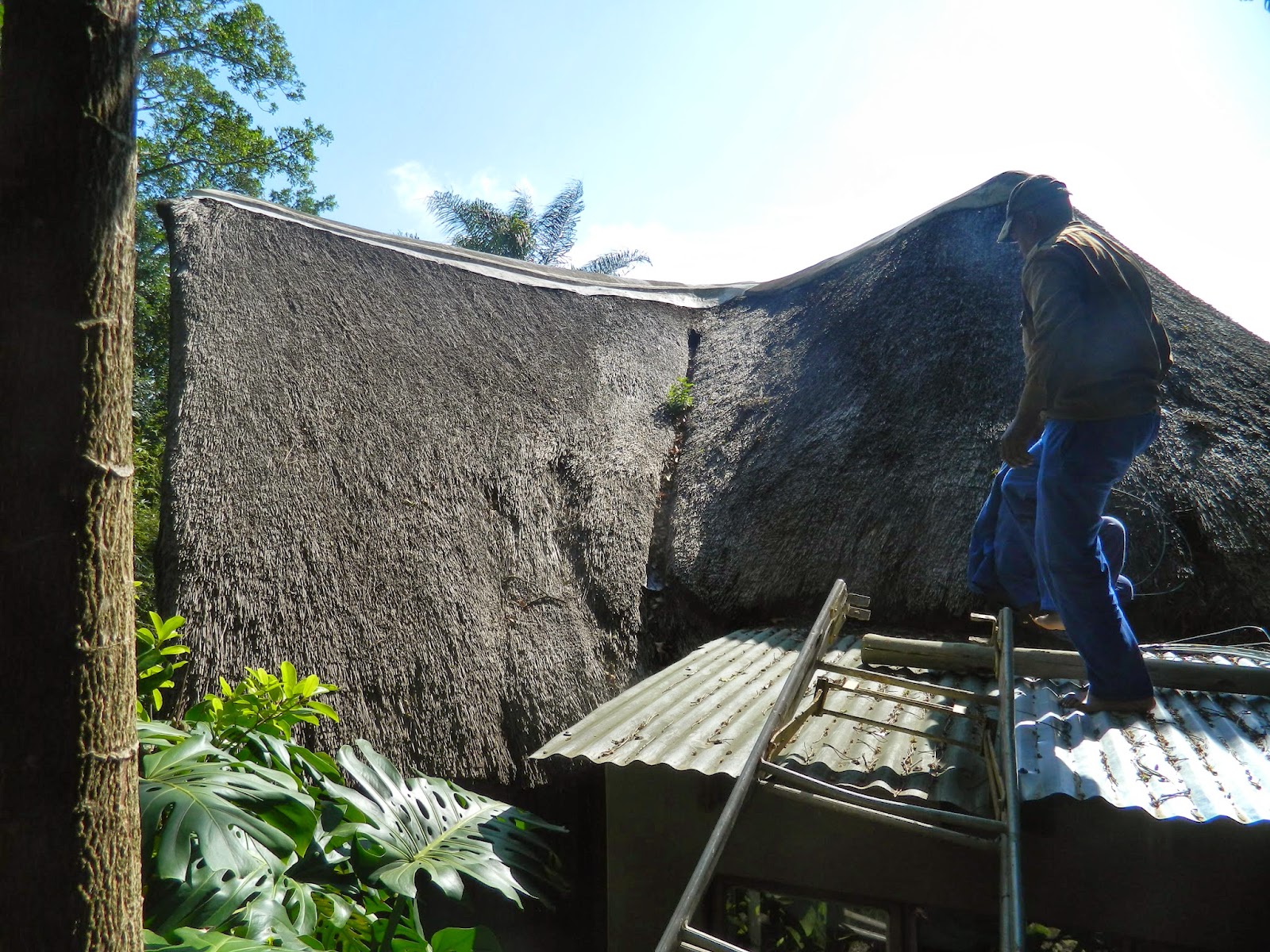 Combining Onduline & Thatch on a Roof