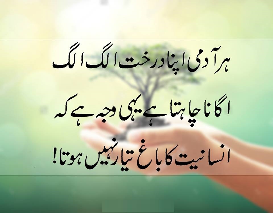 urdu shayari wallpaper,love shayari urdu,sad love,bewafa dost,sad urdu ...