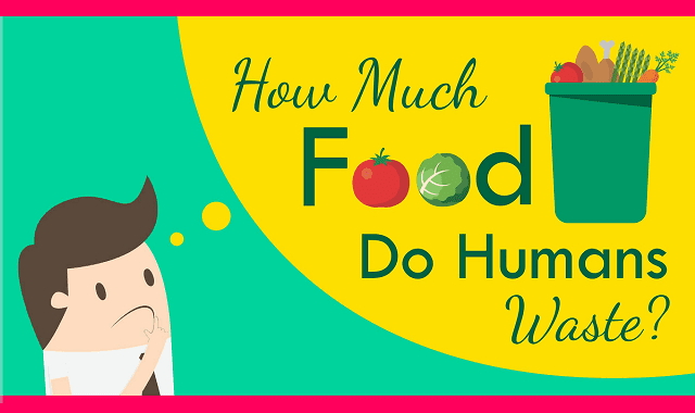 How Much Food Do Humans Waste?