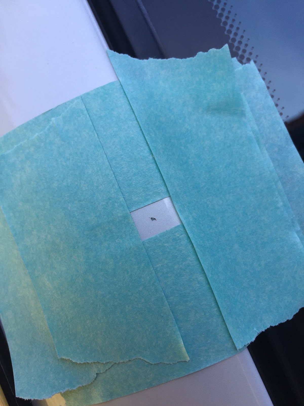 Detailing of Mineralwhite Metallic on a E92 M3 how to touch up rock chips