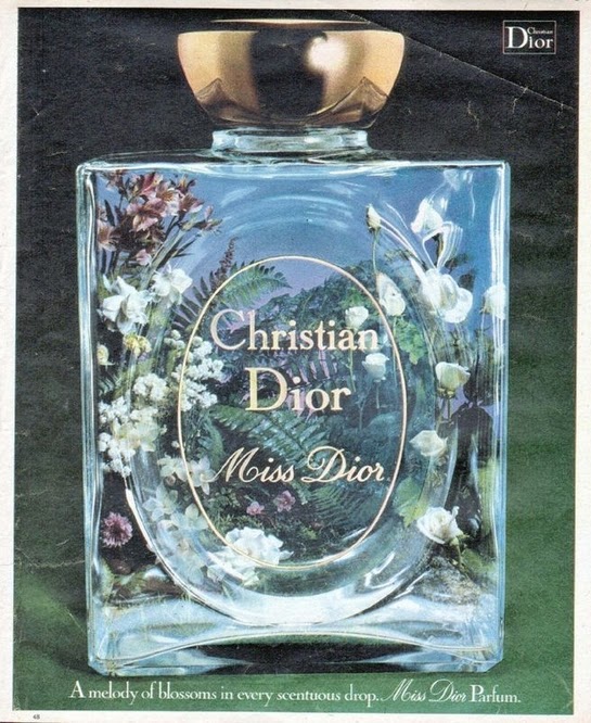 1979 Vintage Christian Dior Eau Sauvage Perfume Ad by Rene Gruau