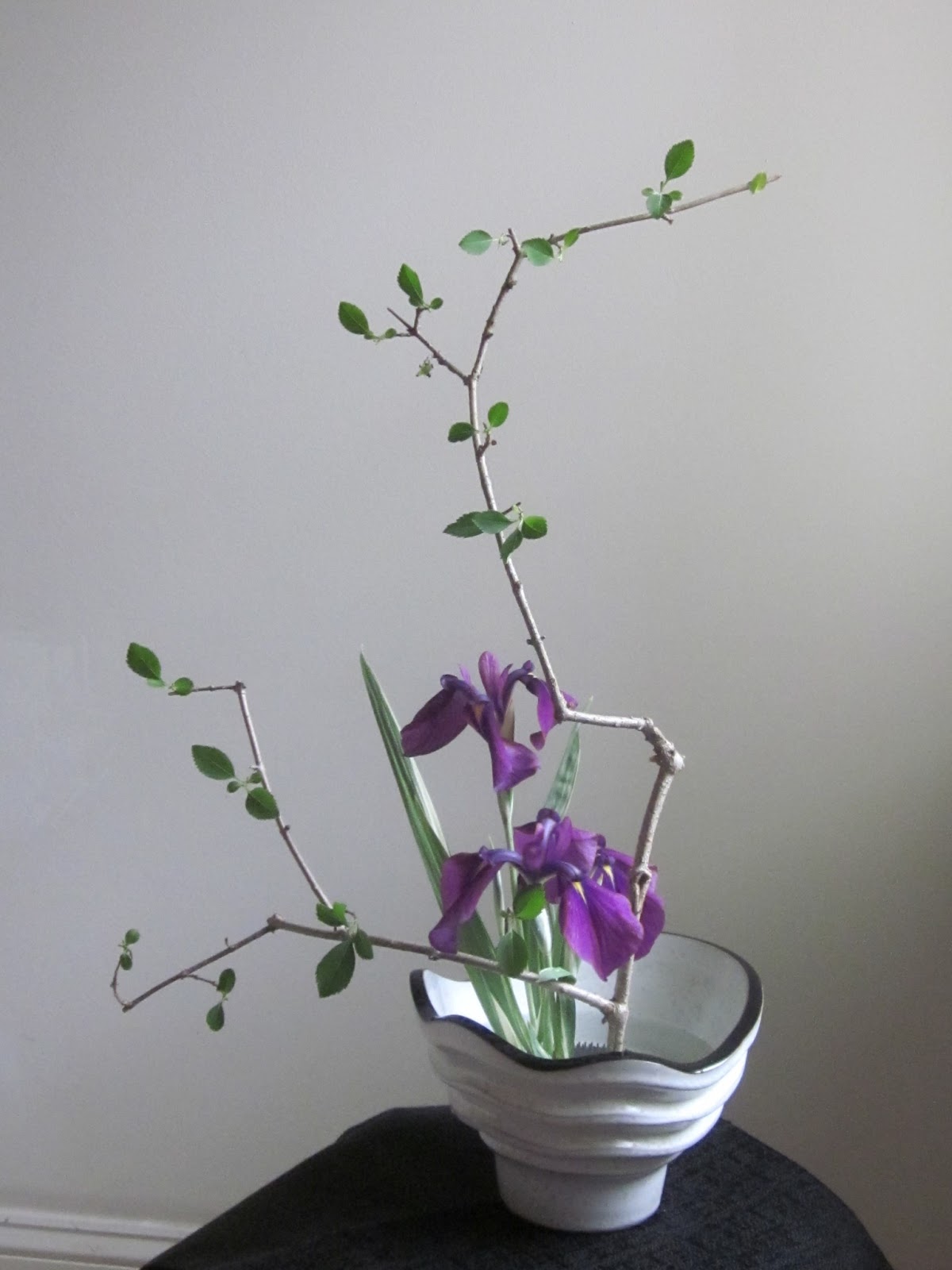Orchids and Ikebana Iris Arrangements Free Style