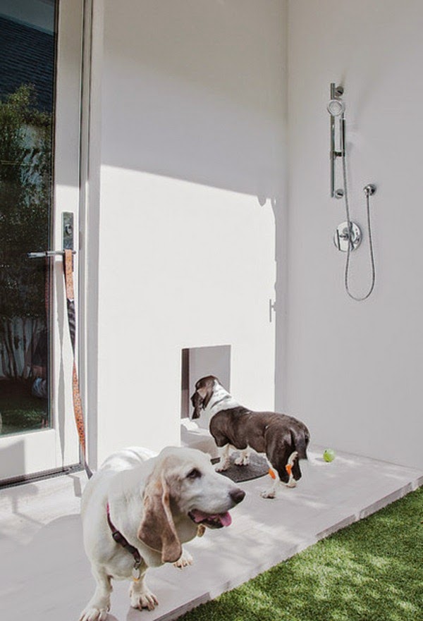 Designs for stimulating garden showers