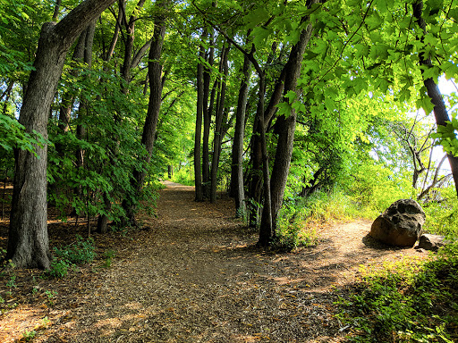 Trail at Picnic Point Trail at Picnic Point