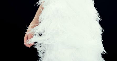 joelledesign: white as a feather