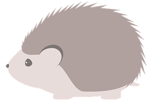 Cara Mudah Belajar Menggambar Landak Untuk Anak Usia Dini