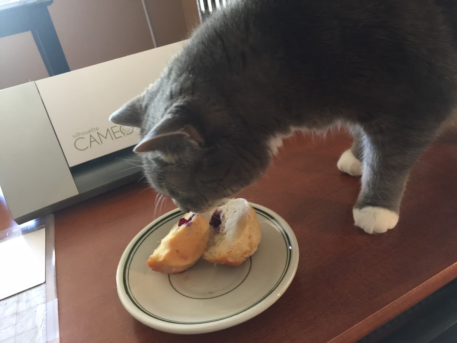 Of Cats and Cardstock Feline Friday Muffin Mania!