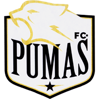CLUB DEPORTIVO SOCIAL Y CULTURAL PUMAS FC DE MELIPILLA
