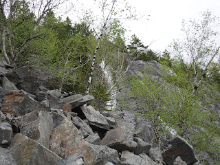 Willey Brook Ravine, Mt Willard, Crawford Notch, NH